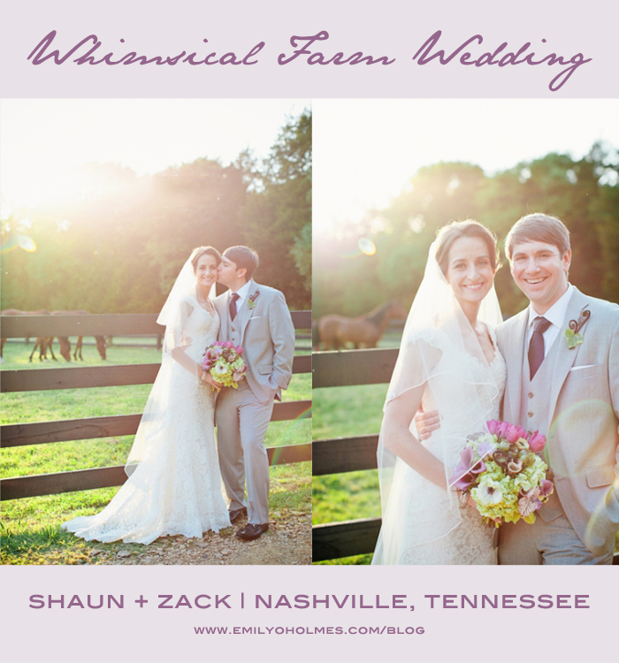 shaun header whimsical